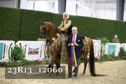 23R13_12060 thumbnail