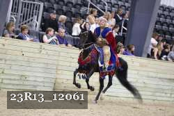 23R13_12061 thumbnail