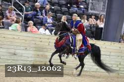 23R13_12062 thumbnail