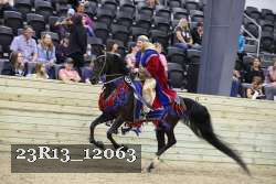 23R13_12063 thumbnail