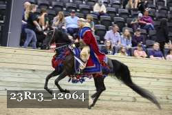 23R13_12064 thumbnail