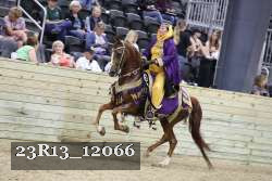 23R13_12066 thumbnail