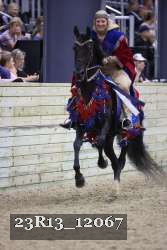 23R13_12067 thumbnail
