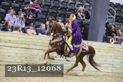 23R13_12068 thumbnail