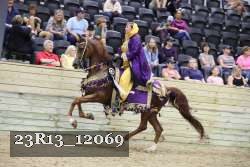 23R13_12069 thumbnail