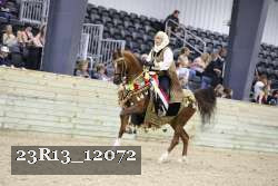 23R13_12072 thumbnail