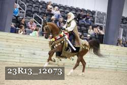 23R13_12073 thumbnail