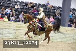 23R13_12074 thumbnail