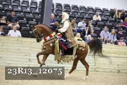 23R13_12075 thumbnail