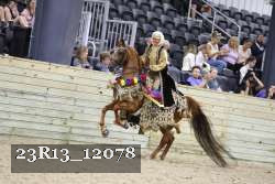 23R13_12078 thumbnail