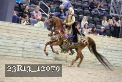 23R13_12079 thumbnail