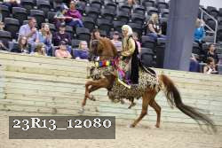 23R13_12080 thumbnail