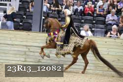 23R13_12082 thumbnail