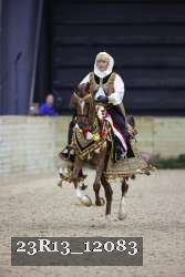 23R13_12083 thumbnail