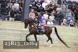 23R13_12164 thumbnail