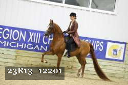 23R13_12201 thumbnail