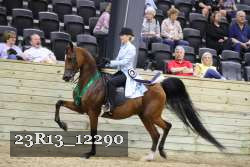 23R13_12290 thumbnail