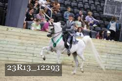 23R13_12293 thumbnail