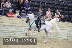 23R13_12294 thumbnail