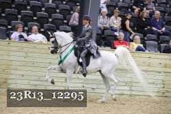 23R13_12295 thumbnail