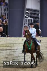 23R13_12296 thumbnail