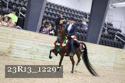 23R13_12297 thumbnail