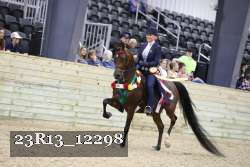 23R13_12298 thumbnail