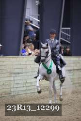 23R13_12299 thumbnail