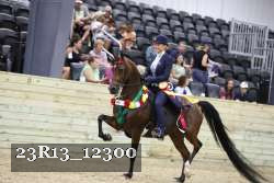 23R13_12300 thumbnail