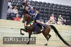 23R13_12301 thumbnail