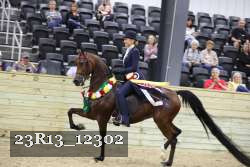 23R13_12302 thumbnail