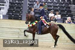 23R13_12303 thumbnail