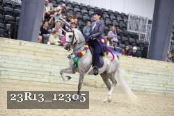 23R13_12305 thumbnail