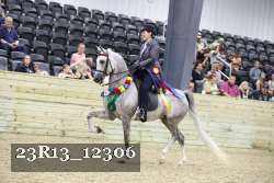 23R13_12306 thumbnail