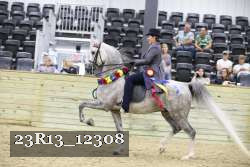 23R13_12308 thumbnail