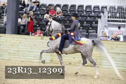 23R13_12309 thumbnail