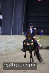23R13_12310 thumbnail