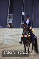 23R13_12312 thumbnail
