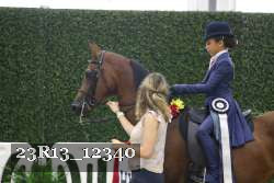 23R13_12340 thumbnail