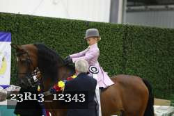 23R13_12343 thumbnail
