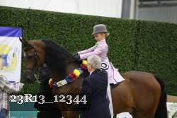 23R13_12344 thumbnail