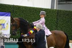 23R13_12345 thumbnail