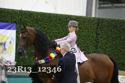 23R13_12346 thumbnail