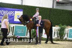 23R13_12348 thumbnail