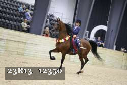 23R13_12350 thumbnail