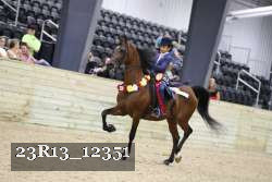 23R13_12351 thumbnail