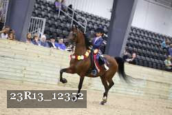 23R13_12352 thumbnail