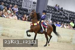 23R13_12353 thumbnail