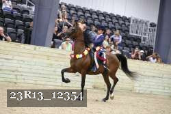 23R13_12354 thumbnail