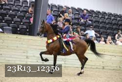 23R13_12356 thumbnail